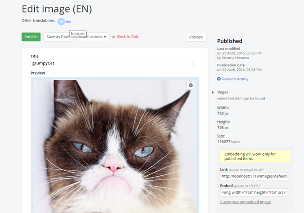 sitefinity9.0screenshot-4