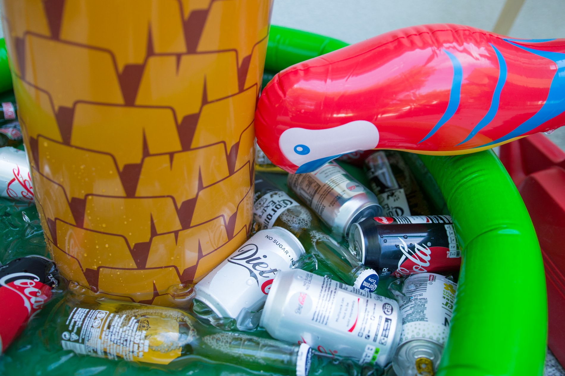 DSC_1037-min DSC_1037-min